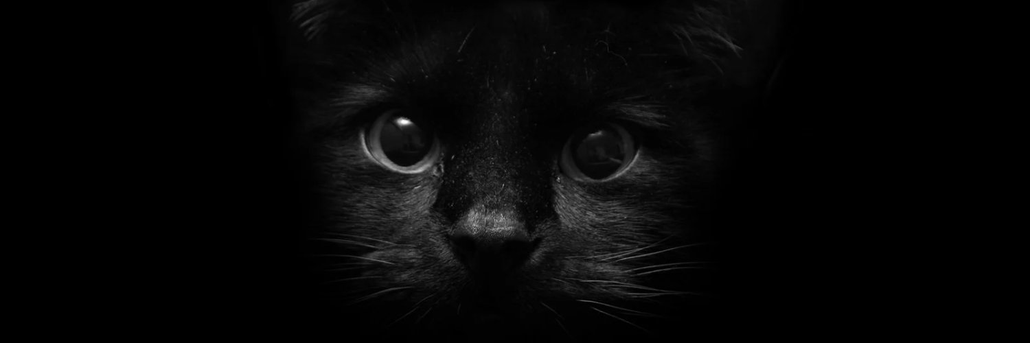 Judett22's profile banner image