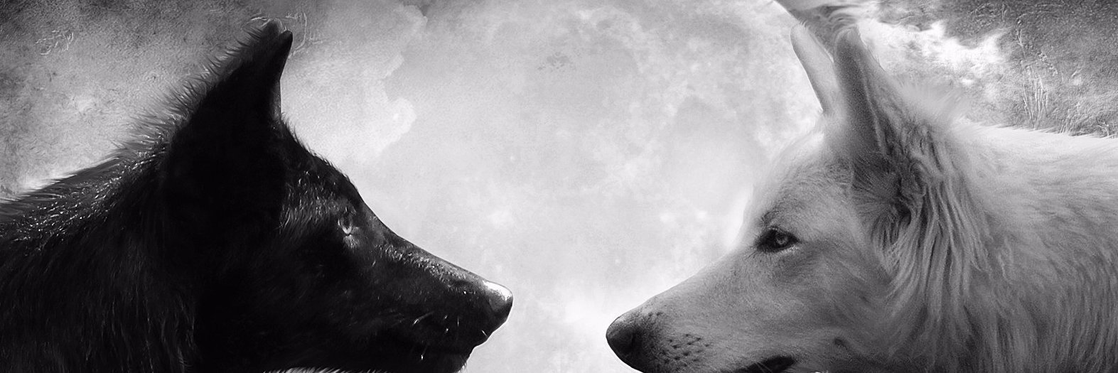 samsonitely's profile banner image
