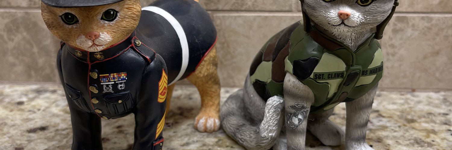 USMCRETIRED72's profile banner image