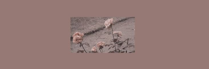 𝑪𝑨𝑴𝑬𝑹𝑶𝑵 𝑽𝑰𝑪𝑬 .ᐟ banner