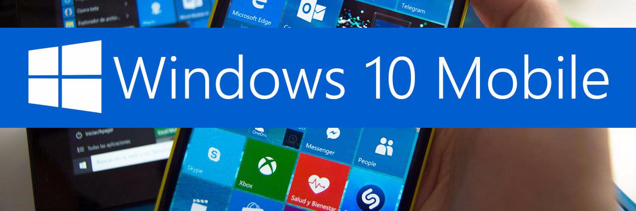 wp8hub's profile banner image