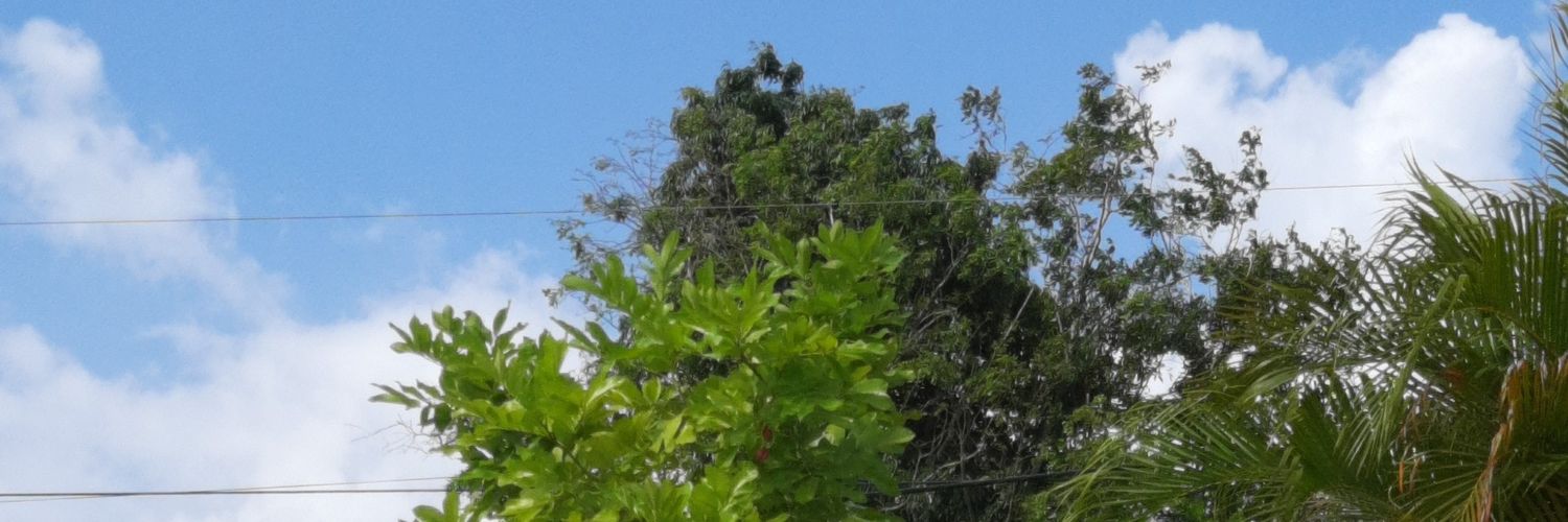 horpaul's profile banner image
