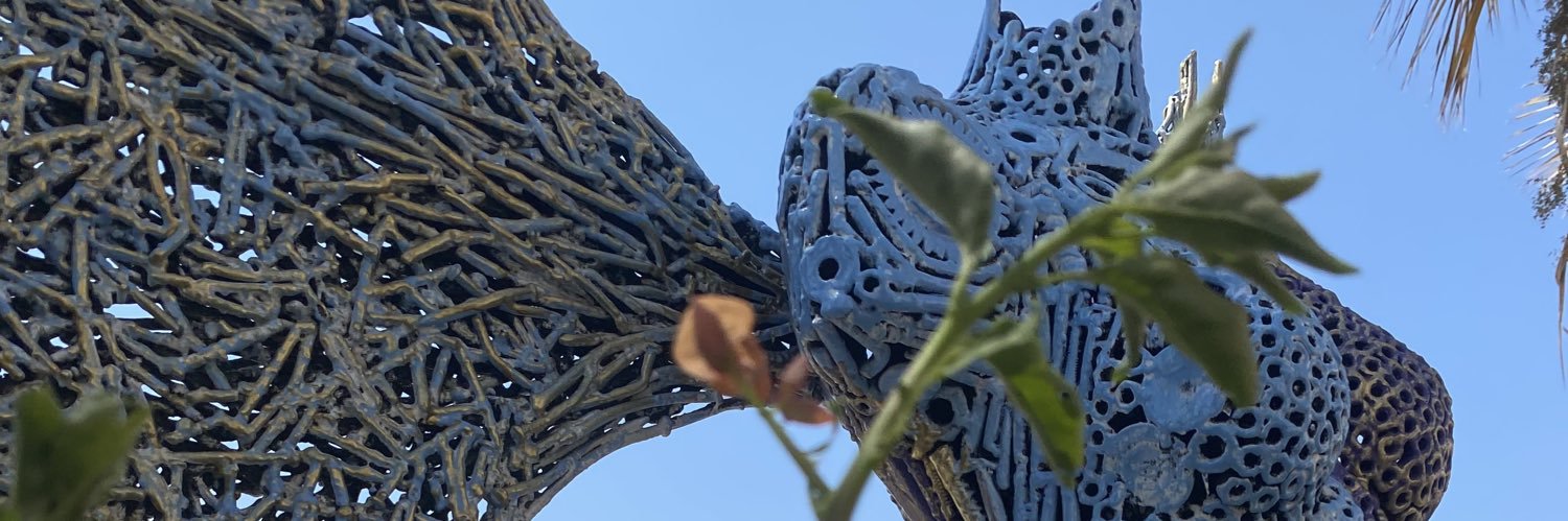 𝐈𝐭𝐳 🐉 banner