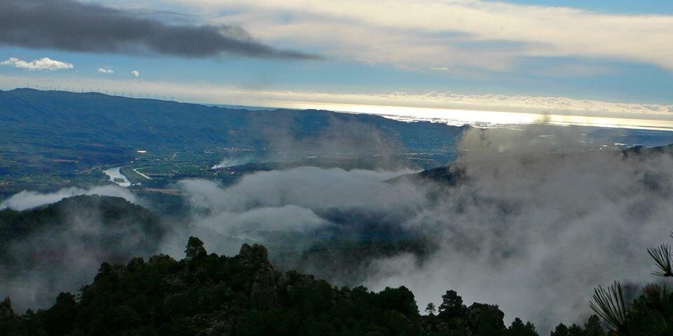 Marga Estorach banner