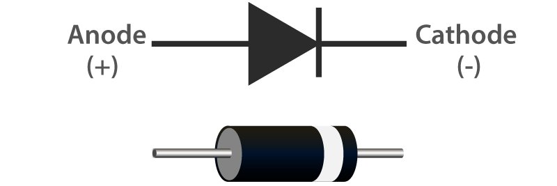 Full Wave Rectumfrier banner