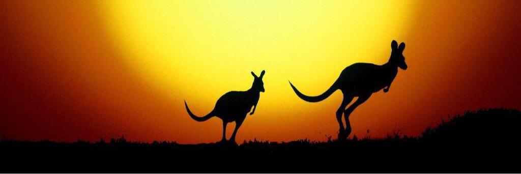 IndigenousSW's profile banner image