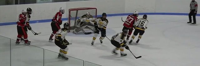 PJHL DohertyDivision banner