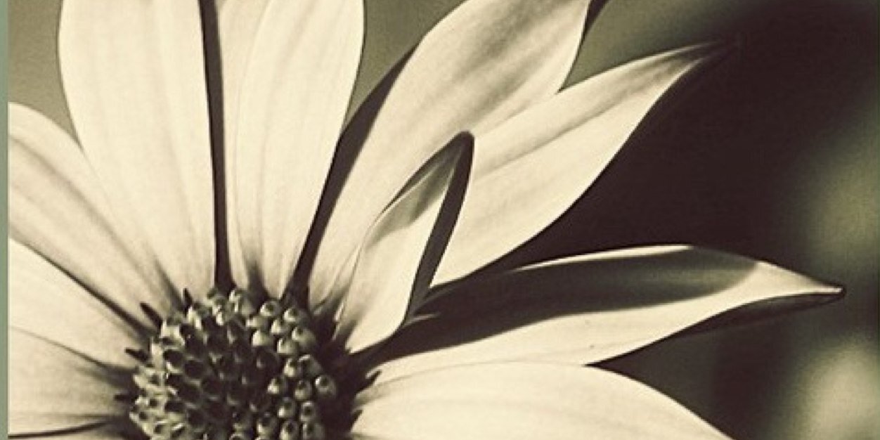 naharmay's profile banner image