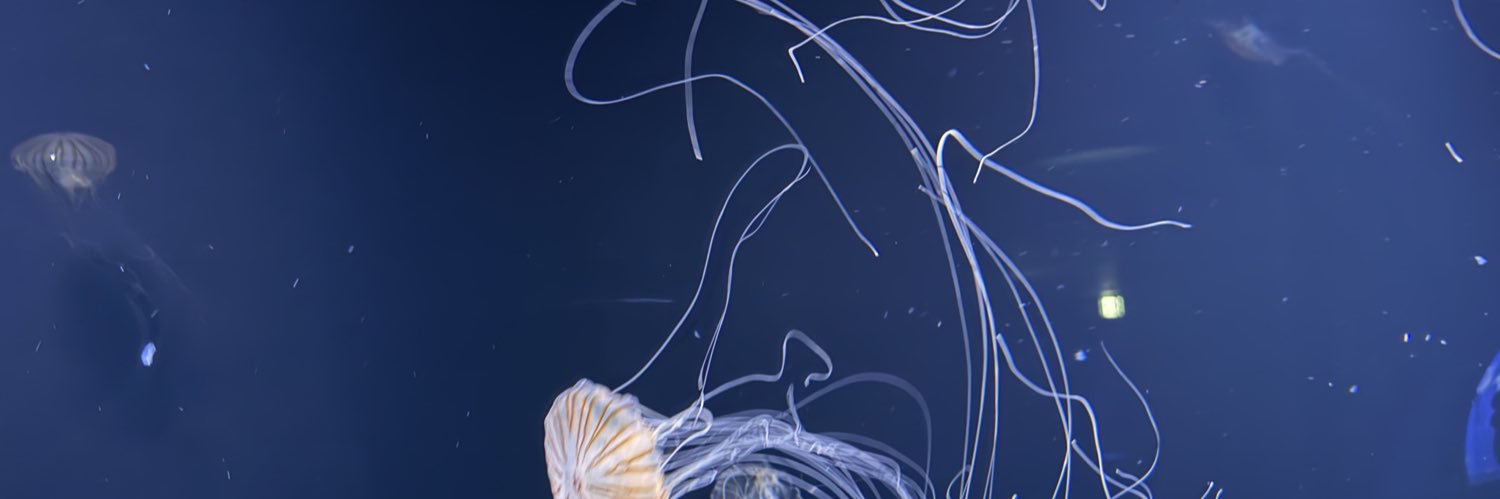Miller banner