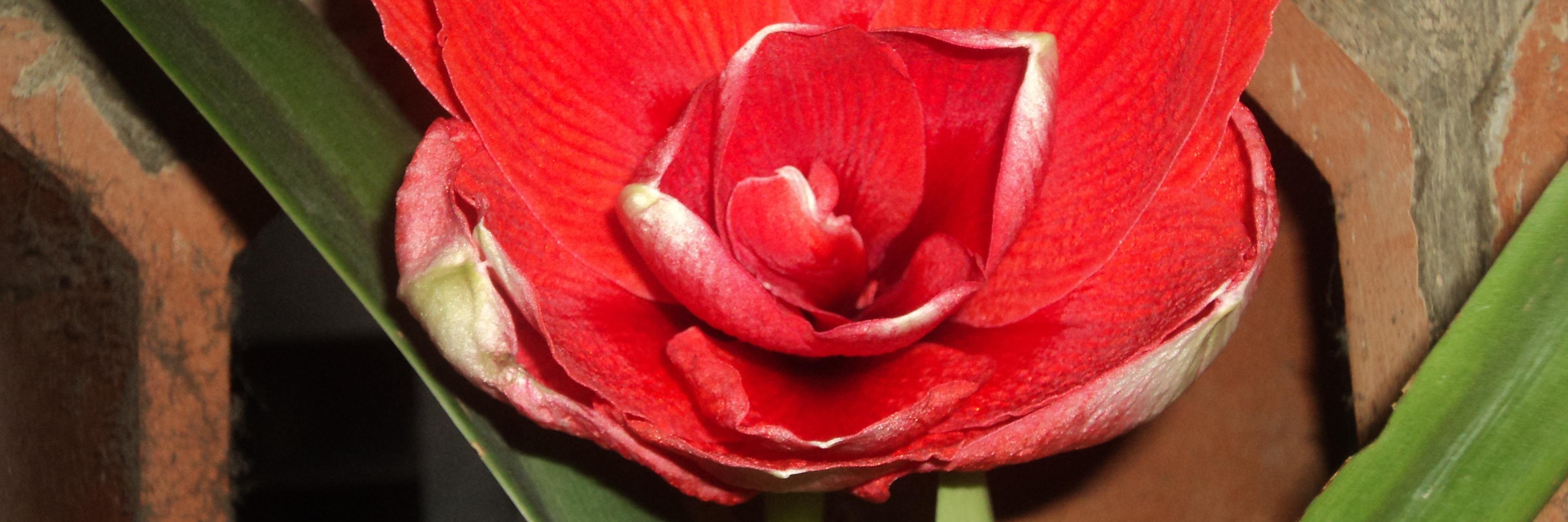 mariade801's profile banner image