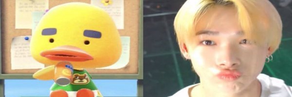 wonkitcat Profile Banner