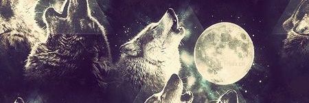 kacuster's profile banner image