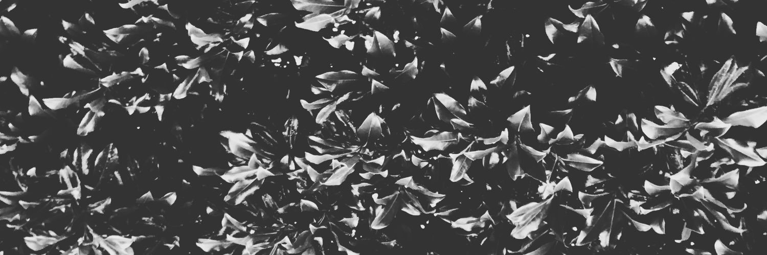 AnarchyAustinn's profile banner image
