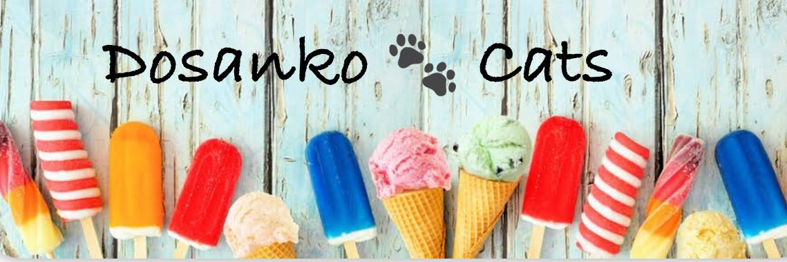 DOSANKO-CATS🐾's banner