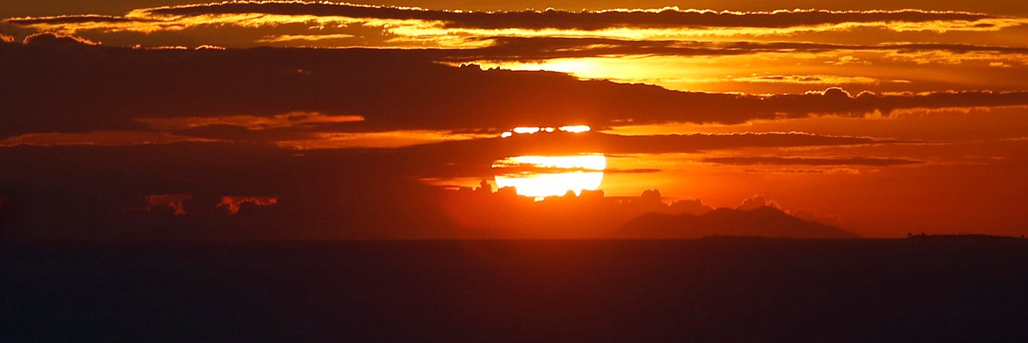 ryne_flor's profile banner image