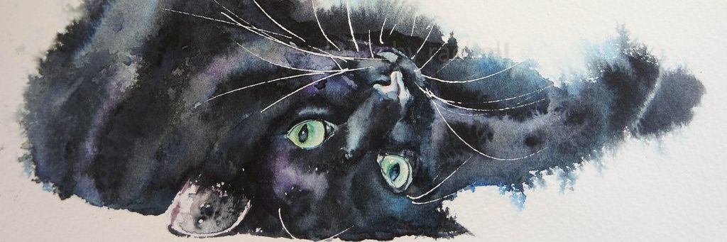 MBocenno's profile banner image