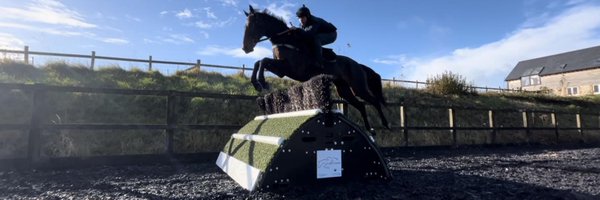 flexi_chase Profile Banner