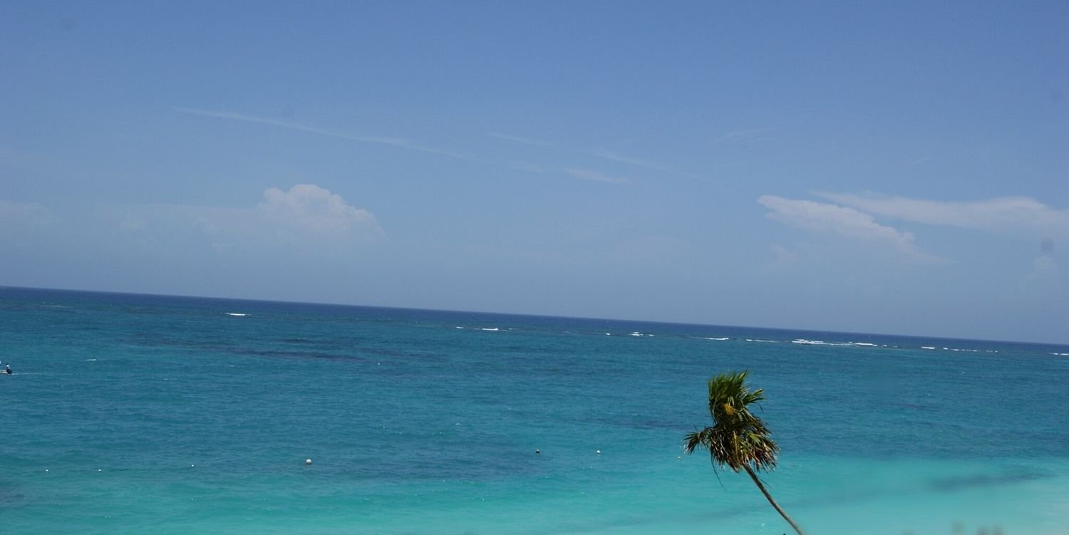 ElValagardito's profile banner image