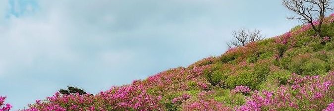 ord_5's profile banner image