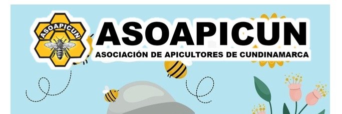 asoapicun's profile banner image
