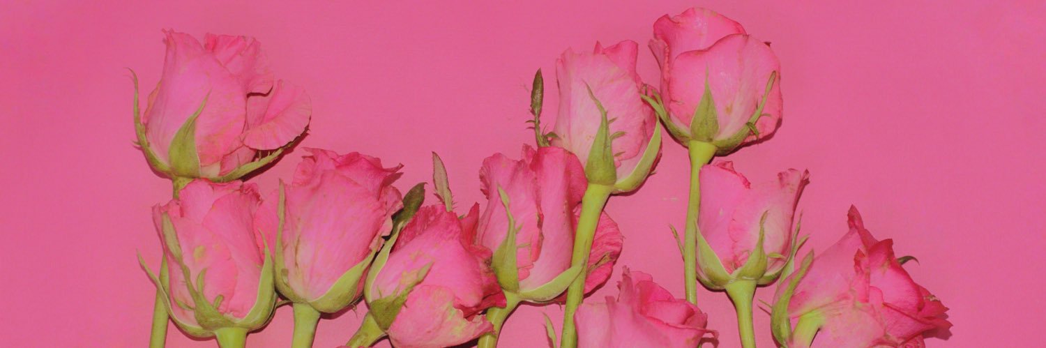 Cinephilliacy's profile banner image
