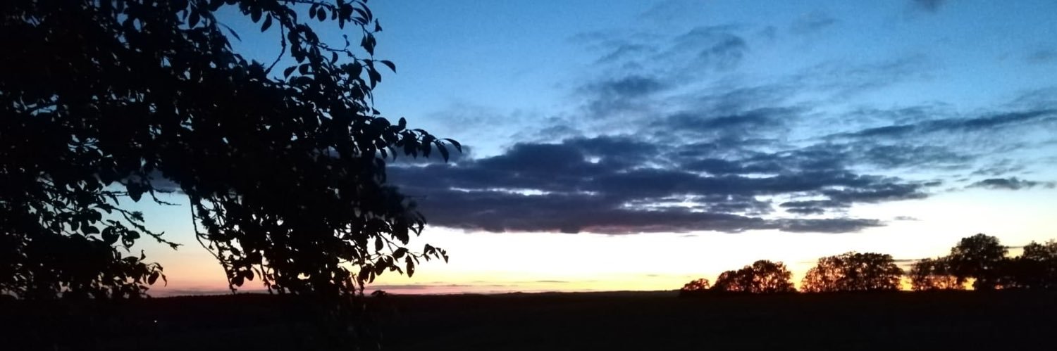 kevinmoignoux's profile banner image