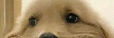 Cody banner