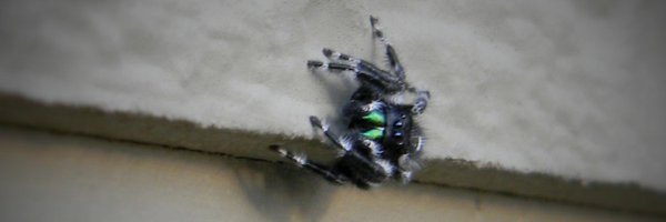 RreddROne Profile Banner