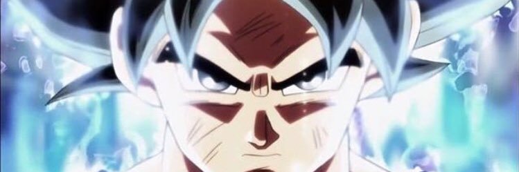 FLACKO DA VINCI banner