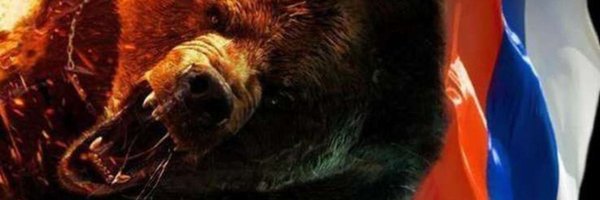 PVM388 Profile Banner