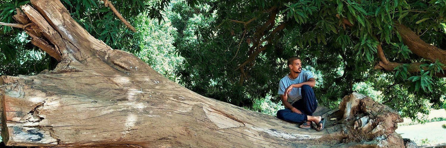 2012Bushara's profile banner image