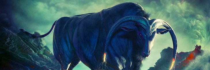 Ringo 🐂Red Bull🐂 banner