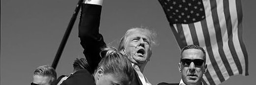 ⚜ France for Trump ⚜'s banner