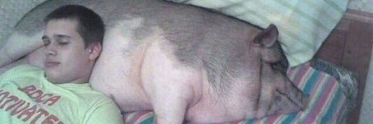 tonzaFIN's profile banner image