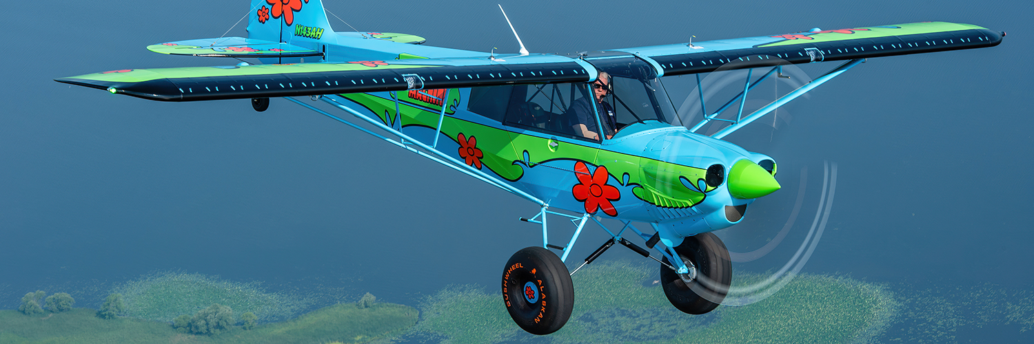 EAA banner