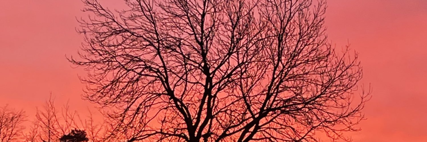 Paddy Davidson banner