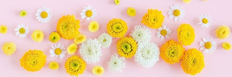 katiemvs's profile banner image