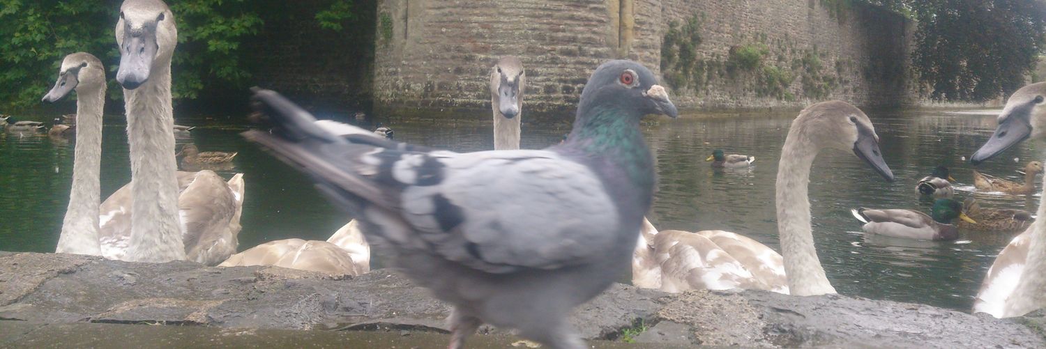 philhumphries's profile banner image