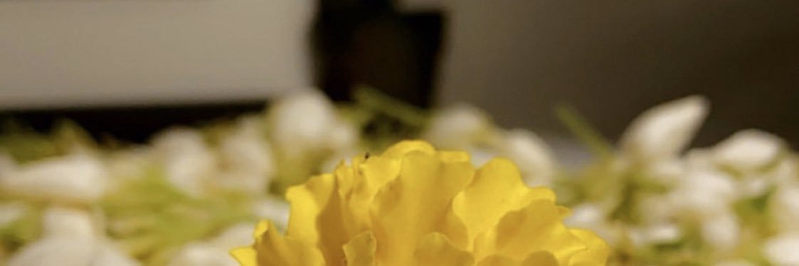 Hn2228's profile banner image