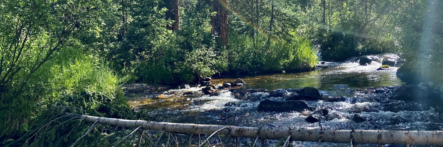 Mardeeee🇺🇸♐️ banner