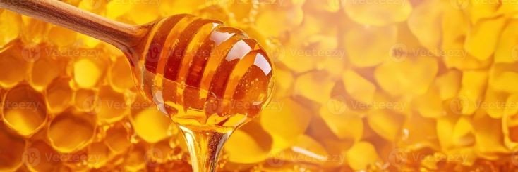 madadessert's profile banner image