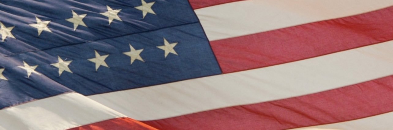 Gingy banner