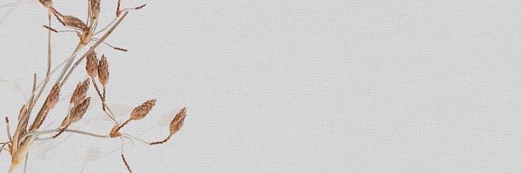 _ixAF_'s profile banner image