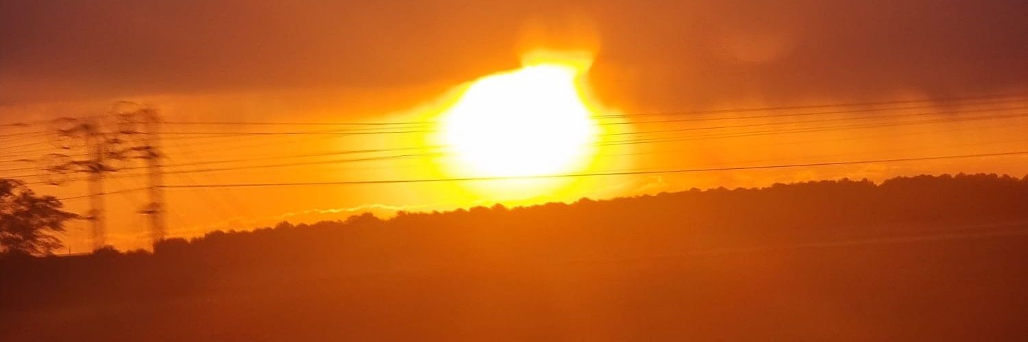 Magda Galeano Revert banner