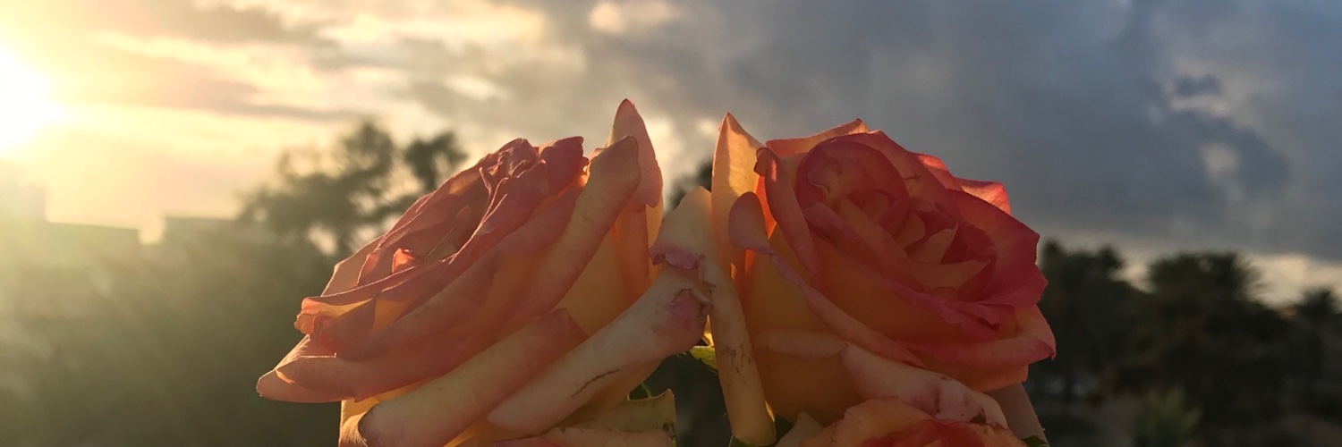 asooolye's profile banner image