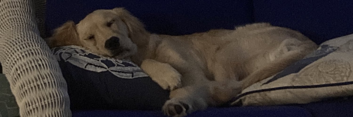 Frank Bruffey III banner