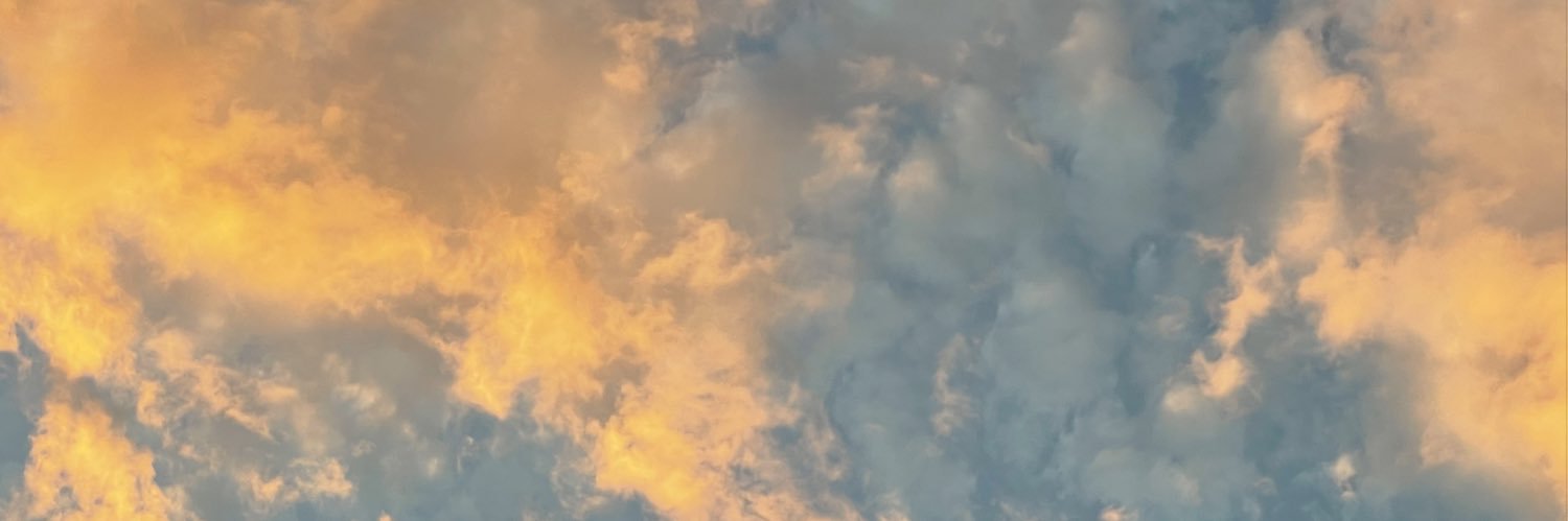 amberweimeer's profile banner image