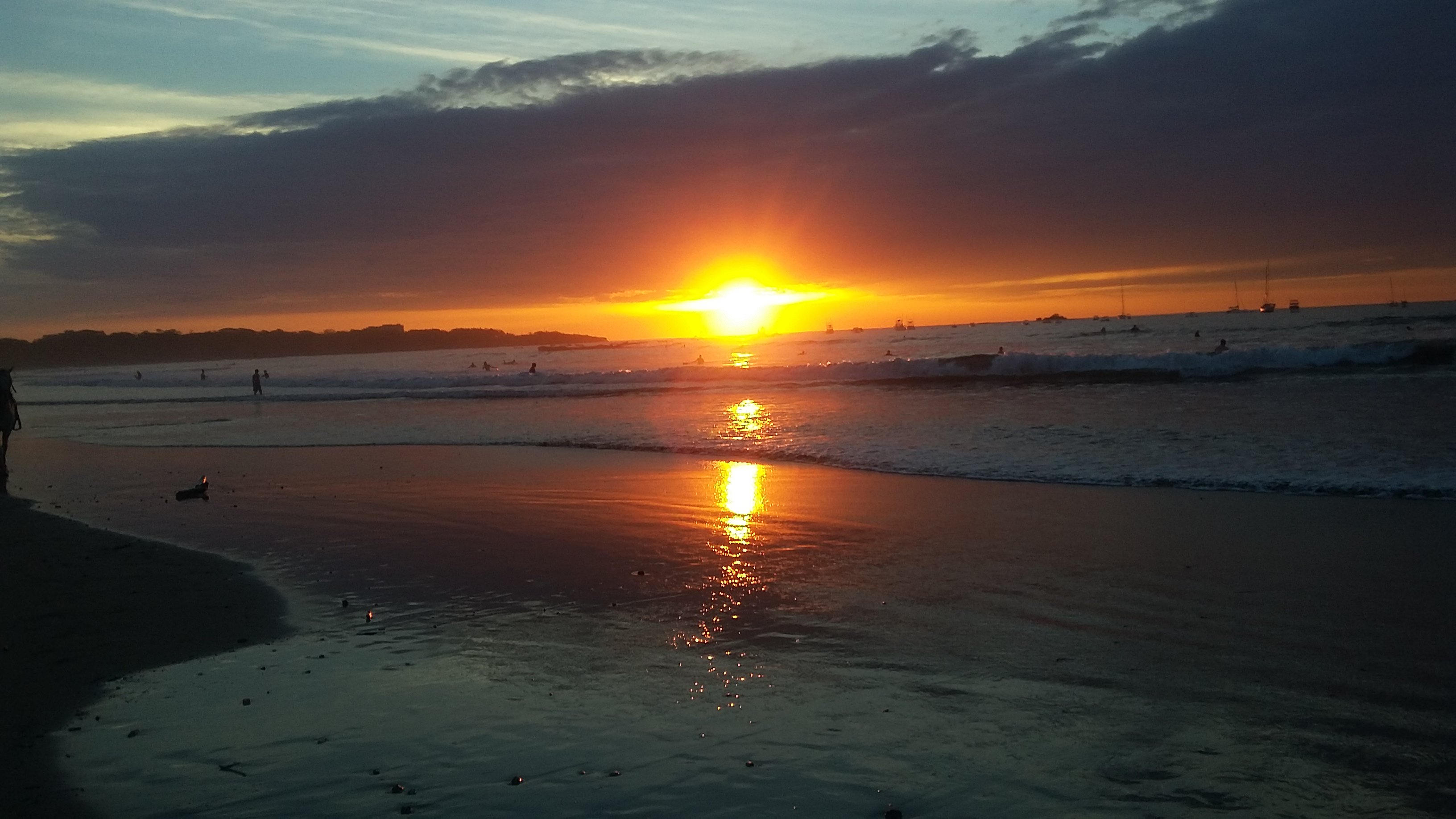 Tyese Christina Zehnder banner