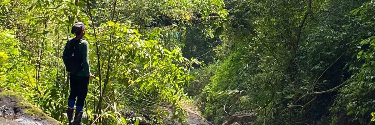 forestbiologist's profile banner image