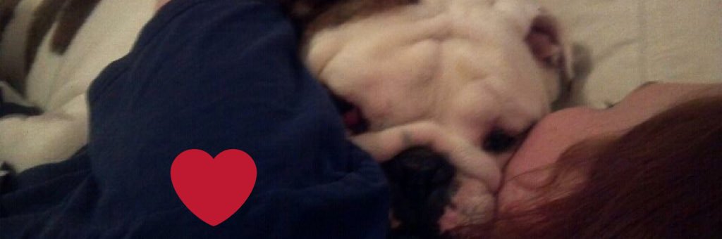 BeccaBooo143's profile banner image